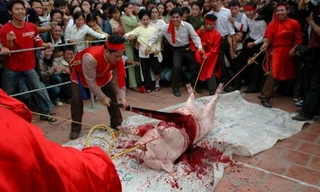 Quang cảnh ở lễ hội chém lợn (Ném Thượng, Tiên Du, Bắc Ninh)