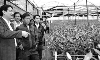 Tham quan mô hình sản xuất hoa của thanh niên ở TP Đà Lạt