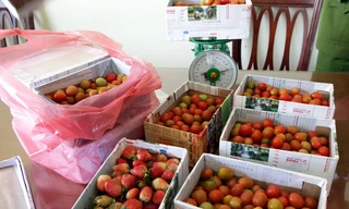 Tang vật bị thu giữ