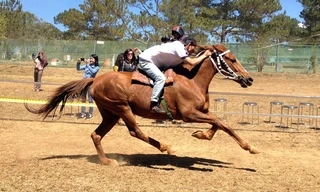 Bứt phá về đích