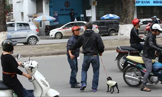 Kẻ hôi của xấu xí