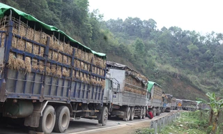 Cảnh ách tắc hàng nông sản những ngày qua ở tỉnh Lạng Sơn. Ảnh: Duy Chiến
