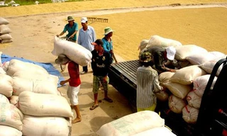 Hỗ trợ 7.059 tấn gạo cứu đói dịp Tết