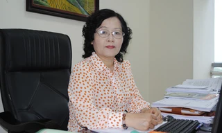 Tàu 3 tỷ thành sắt vụn, cần làm rõ trách nhiệm cán bộ liên quan