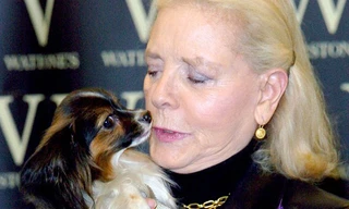 Nàng chó cưng Sophie