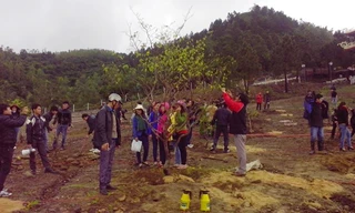 Tuổi trẻ Huyện Đoàn Quảng Trạch (Quảng Bình) trồng cây mai vàng bên khu mộ Đại tướng