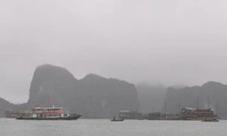 Thăm Vịnh Hạ Long, một du khách rơi xuống biển