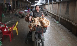 Ảnh chụp tại chợ Hà Vỹ ngày 26/2. ảnh: nguyễn tú