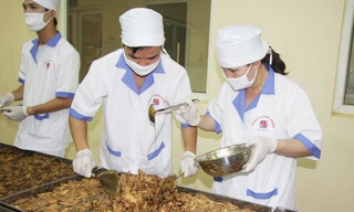 Quá trình sao tẩm, bào chế dược liệu