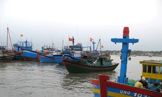 Rà soát chính sách hỗ trợ ngư dân đánh bắt xa bờ