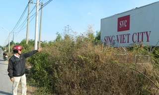 Khu đô thị Sing-Việt (xã Lê Minh Xuân, huyện Bình Chánh, TPHCM) vẫn còn là bãi đất hoang um tùm. ảnh: LT
