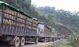 Cảnh ách tắc hàng nông sản những ngày qua ở tỉnh Lạng Sơn. Ảnh: Duy Chiến