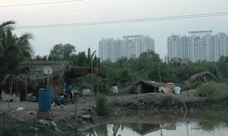 Buổi chiều trong xóm cá không tên ở quận 7. Ảnh: T.N.A