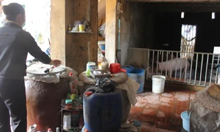 Sản xuất rượu tại một hộ gia đình xã Vân Hà. Ảnh: T.V