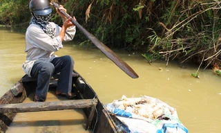 Lực lượng chức năng vớt các bao xác gia cầm chết trên sông Krông Ana