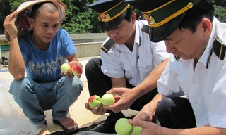 Cửa khẩu Tân Thanh tăng cường kiểm tra hàng hoa quả tươi nhập từ Trung Quốc. Ảnh: Duy Chiến