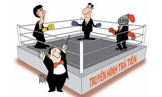 Truyền hình trả tiền: Cạnh tranh khốc liệt