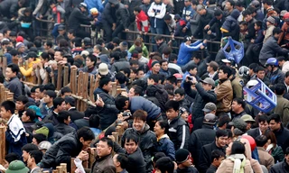 Biển người chen lấn, giẫm đạp nhau xem Lễ hội chọi trâu ở Hải Lựu, Sông Lô, Vĩnh Phúc ngày 16/2. ảnh: hồng vĩnh