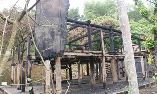 Hiện trạng còn lại của nhà Lang trong khuôn viên Bảo tàng không gian văn hóa Mường (ảnh chụp trưa ngày 24/3)