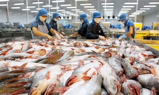 Mỹ vẫn áp thuế bất lợi cá tra Việt Nam