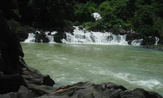 Phát hiện quần thể hang dơi đầy bí ẩn