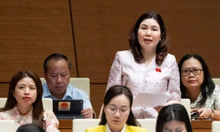 Đề nghị bãi bỏ quy định về công bố hợp quy vì 'vô lý và lãng phí'