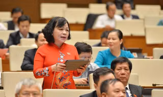 Đại biểu Nguyễn Thị Mai Hoa (Đồng Tháp)