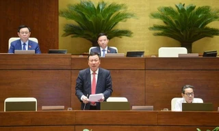 Quốc hội chất vấn Tổng Thanh tra Chính phủ Đoàn Hồng Phong 