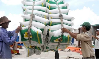 Phó Thủ tướng yêu cầu làm rõ vụ mở tờ khai xuất khẩu gạo nửa đêm của Hải quan