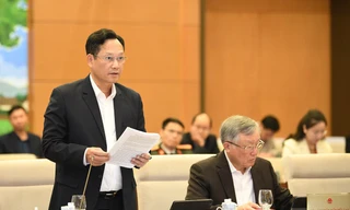 Thông qua Pháp lệnh về áp dụng các biện pháp xử lý hành chính tại Toà án