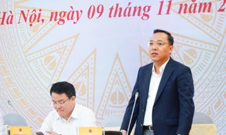 Temu, Shein phải dừng tất cả hoạt động thương mại, quảng cáo vi phạm