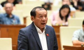 Đại biểu Quốc hội tranh luận với Bộ trưởng Văn hóa về phim 'Đất rừng phương Nam'