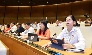 Thành lập Thanh tra Tổng cục, Cục không được làm tăng số lượng đầu mối