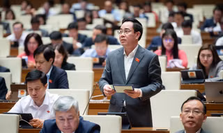 Kiến nghị đưa dạy thêm, học thêm vào danh mục ngành nghề kinh doanh có điều kiện