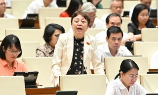 Đại biểu Quốc hội: Thanh tra bị 'trói tay, trói chân' rất nhiều 