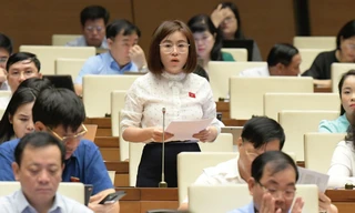 Đại biểu Quốc hội nêu lý do đề nghị bổ sung dao có tính sát thương cao là vũ khí thô sơ