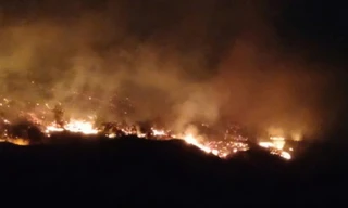 Phó Thủ tướng yêu cầu điều tra, xử lý nghiêm vi phạm vụ cháy rừng ở Quảng Ninh 