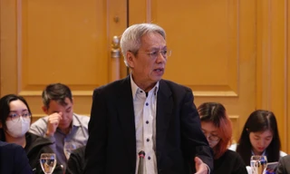 'Nếu bộ máy sợ đến mức không dám làm, kinh tế Việt Nam sẽ vô cùng khốn đốn'