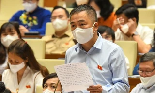 PGS. Nguyễn Lân Hiếu, đại biểu Quốc hội đoàn Bình Định