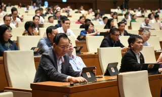 Bổ sung quy định phương thức, hình thức đấu giá kho số viễn thông