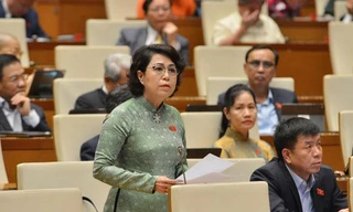 Đại biểu Quốc hội Tô Thị Bích Châu, TPHCM