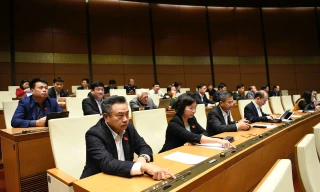 Thí điểm các biện pháp xử lý vật chứng, tài sản trong điều tra, truy tố, xét xử 