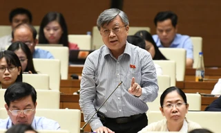 Đại biểu Quốc hội 'cực kỳ lo lắng' về việc miễn giấy phép khai thác khoáng sản