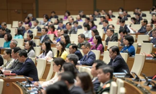 Sợ sai, sợ đến bao giờ?