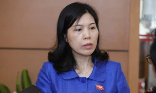 ĐBQH Trần Thị Phương Hoa, Bí thư Quận uỷ Cầu Giấy