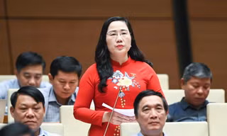 Năm chiêu trò phổ biến lách luật trong đấu thầu