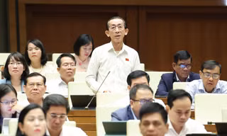 Đại biểu Quốc hội đề nghị điều chỉnh lương hưu, trợ cấp xã hội trong năm 2025