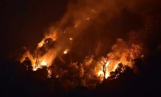 Thủ tướng yêu cầu tập trung khắc phục hậu quả vụ cháy rừng tại Tuyên Quang