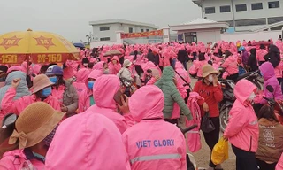 Tổng Liên đoàn: 'Không để xảy ra tình trạng ngừng việc tập thể kéo dài, lây lan'