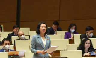 Đại biểu Mai Thị Phương Hoa (đoàn Nam Định) 